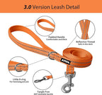 AIITLE Comfortable Dog Harness and Leash Set - Image 3
