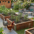 4 Pcs 11.6"×11.6" Plant Protectors from Animals, Sturdy Metal Plant Cages - Image 7