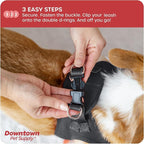 Downtown Pet Supply Step-in Dog Harness – No Pull, Adjustable Padded Mesh - Image 5