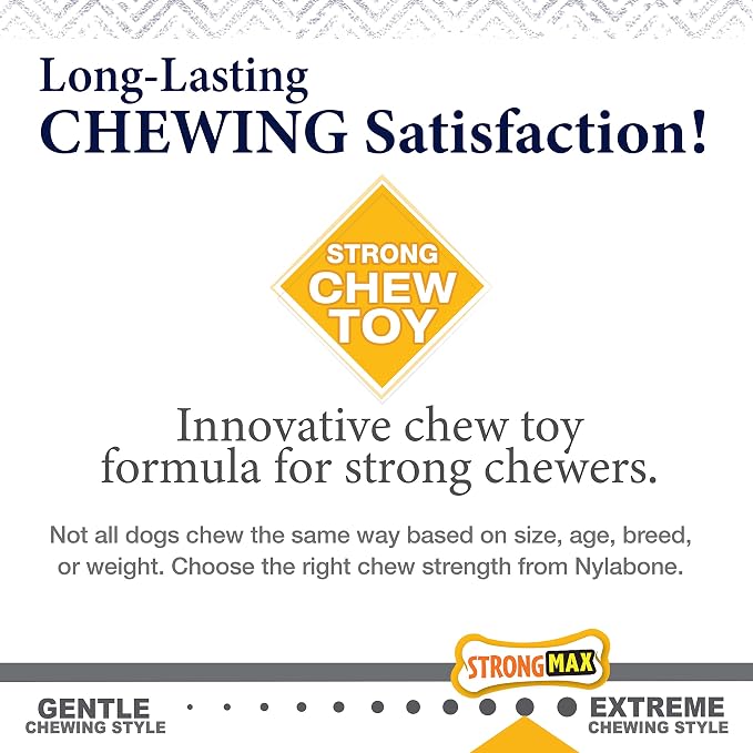 Nylabone Gourmet Style Stick Strong Chew Toy - Image 8