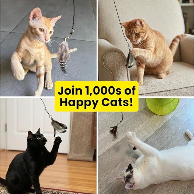 Feather Toys Replacements - Image 5