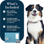Petivity Smart GPS and Activity Pet Tracker - Image 9