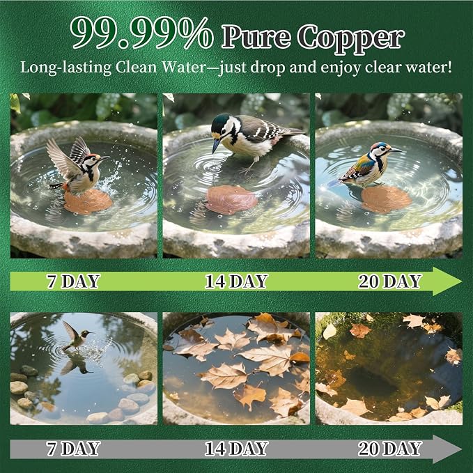Bird Bath Copper Disk, 99.99% Pure Copper Metal Disc Bird Bath Cleaner - Image 2