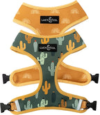 Lucy & Co. Looking Sharp, Cute Reversible Dog Harness Walking Halter by LucyCo