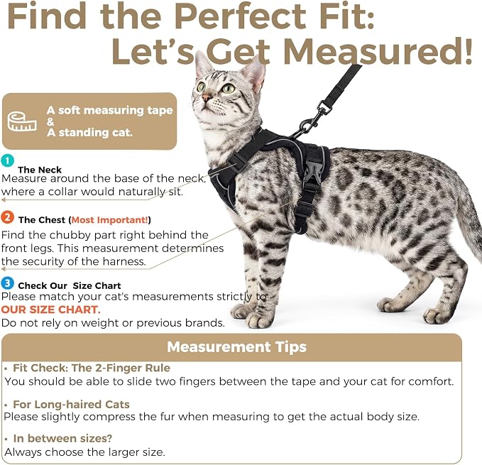 Cat Harness and Leash Set Escape Proof Tactical Medium Kitten Harness Emotional - Image 2