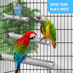 KATUMO Parrot Perch - Image 4