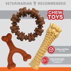 Nylabone Customer Favorites Power Chew Toy Bundle - Image 3