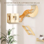 13-in-1 Cat Wall Shelves and Perches, Floating Cat Shelves, Solid Wood Wall - Image 5