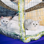Jetec 2 Pack Cat Hammock for Cage, Catio Accessories Reversible Soft Cats Bed - Image 2