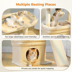 PEQULTI Small Cat Tree Tower for Large Adult Cats - Image 2