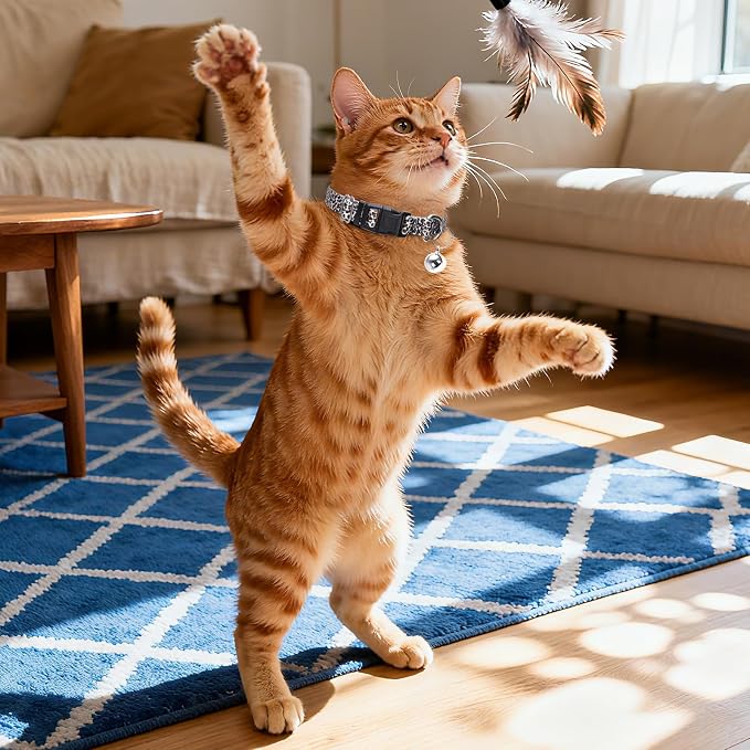 Small Dog Collar with Bell，Nylon - Image 2