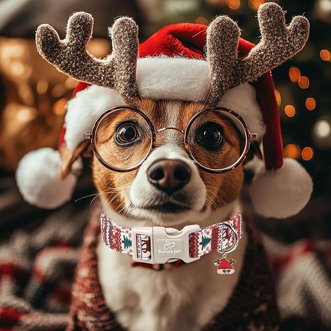 Christmas Dog Collar for Large Dogs - Image 6
