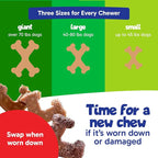 Chew’EMS X Bone Dog Chew Toy for Aggressive Chewers – Long-Lasting Beef Flavor - Image 4