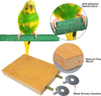Bird Perches for Conure Stand Natural Wood Platform Bird Nail Trimming Perch - Image 4