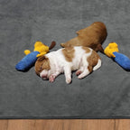 Washable Pee Pads for Dogs, 60x60 Reusable Whelping Pads, Absorb Dog Mats - Image 7
