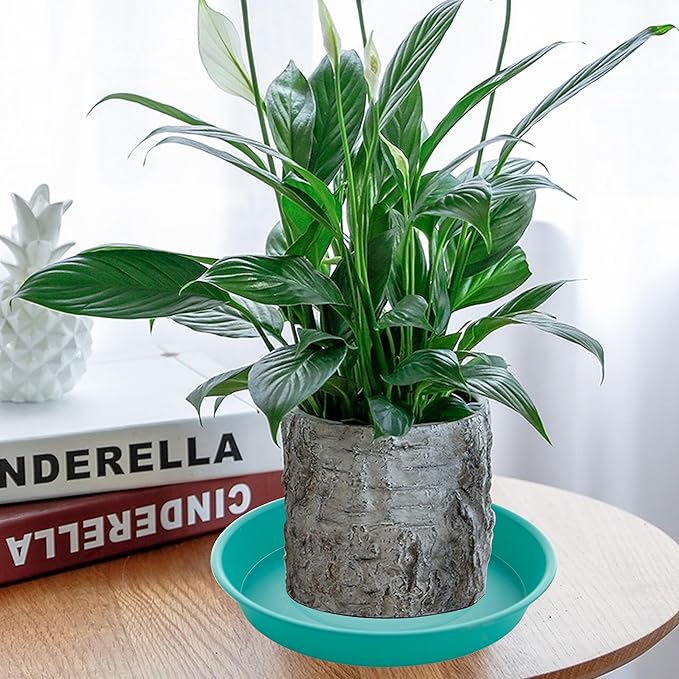 6 Pack of 10 inch Plant Saucer Blue, Heavy Duty Plastic Plant Saucer 10 inch - Image 3