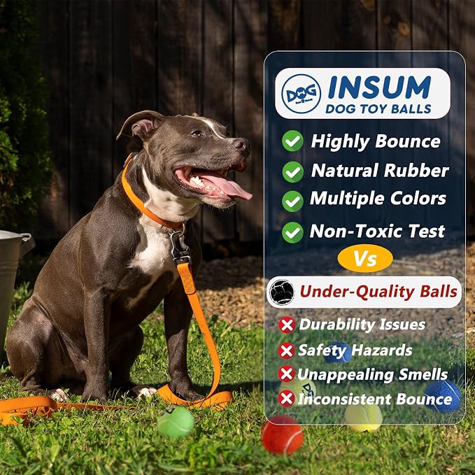 Tennis Balls for Dogs - Image 5