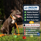 Large Squeaky Tennis Balls for Dogs - Image 6