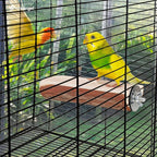 Niteangel Parrot Cage Perch, Wooden Platform - Image 4