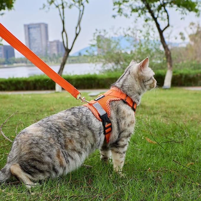 Cat Harness and Leash Escape Proof Small Kitten Harness Abyssinian Cat Vest - Image 2