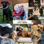 WHIPPY Leather Dog Collar for Small Medium Large Dog Adjustable Soft Breathable - Image 3