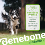 Benebone Maplestick Durable Dog Chew Toy - Image 6