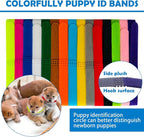 Whelping Kit for Puppies Birth - Image 4