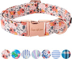 Unique style paws Dog Collar Metal Buckle Pink Rose Collar Flower Gift Durable by Uniquestylepaws