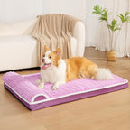Orthopedic Dog Bed Large Sized Dog - Image 2