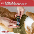 Downtown Pet Supply Step in Dog Harness No Pull, Hunter Green - Image 5