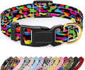 Reflective Dog Collar for Small Dogs, Cute Boho Adjustable Heavy-Duty Nylon by TMOODEL