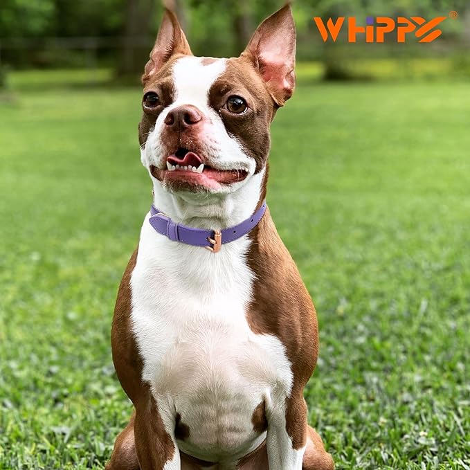 WHIPPY Leather Dog Collar for Small Medium Large Dog Adjustable Soft Breathable - Image 2
