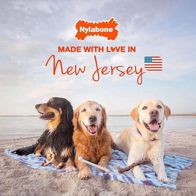 Nylabone Ring Bone Power Chew Toy - Image 6