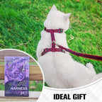 BEAUTYZOO Cat Harness and Leash Set Escape Proof - Image 2