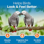 Aloe Vera Bird Spray for All Birds – Soothes Itchy Skin & Feather Plucking – - Image 4