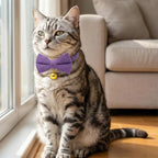 THAIN Cat Collar with Bow Tie and Bell, Breakaway Adjustable Cute Soft Corduroy - Image 5