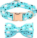 Dog Collar-Bow Dog Collar Blue Bear Pattern Pet Collar Dog Cute Bow Tie Soft by BoboRainbow