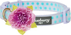 Blueberry Pet Dog Collar by BlueberryPet