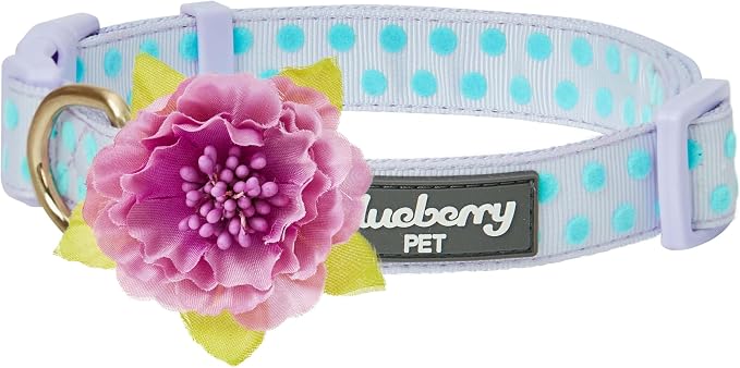 Blueberry Pet Flocking Dog Collar, Small Girl Dog Collar by BlueberryPet