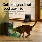 PETLIBRO RFID Automatic Cat Feeders - Image 3