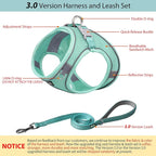 AIITLE Step in Dog Harness and Leash Set - Image 2