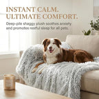 PJYuCien Dog Blankets for Small Dogs Washable - Image 6