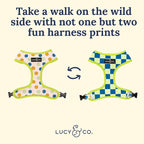 Lucy & Co. Lime Green with Blue Checker Smiley Faces, Cute Reversible Dog - Image 5