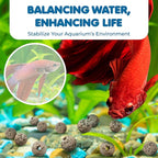 SunGrow 50 Pumice Beads for Betta Fish, Volcanic Lava Rocks for Filtration - Image 4