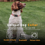 Dog Collar for Boys Girls, Flower Puppy Collar for Small Medium Large Dogs - Image 5
