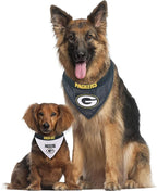 Pets First NFL DOG BANDANA - Image 6