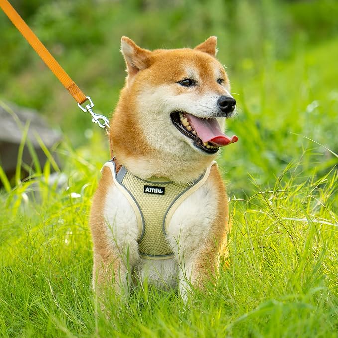 AIITLE Escape Proof Dog Harness - Image 2
