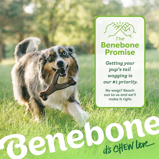 Small 3-Pack, Benebone Wishbone Durable Dog Chew Toy - Image 6