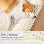 Orthopedic Dog Bed Large Sized Dog - Image 5