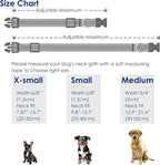 Cute Dog Collar Fruit Orange Pattern - Image 2